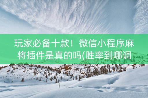 玩家必备十款！微信小程序麻将插件是真的吗(胜率到哪调)