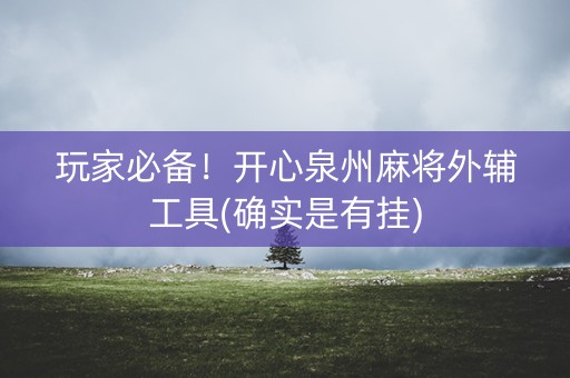 玩家必备！开心泉州麻将外辅工具(确实是有挂)