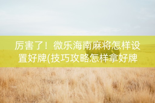 厉害了！微乐海南麻将怎样设置好牌(技巧攻略怎样拿好牌)