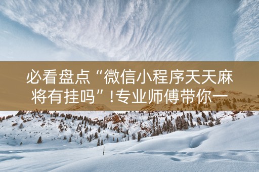 必看盘点“微信小程序天天麻将有挂吗”!专业师傅带你一起了解（详细教程）-抖音