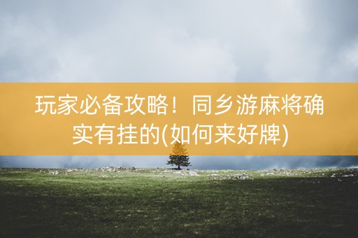 玩家必备攻略！同乡游麻将确实有挂的(如何来好牌)