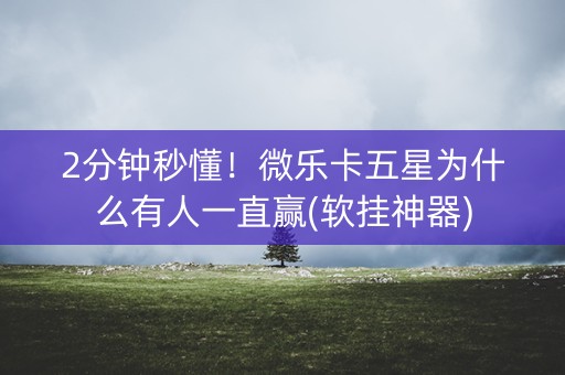 2分钟秒懂！微乐卡五星为什么有人一直赢(软挂神器)