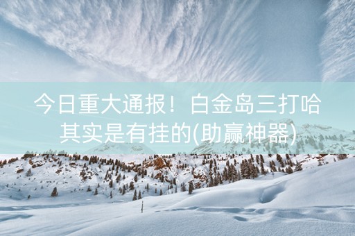 今日重大通报！白金岛三打哈其实是有挂的(助赢神器)