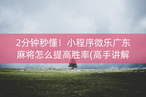 2分钟秒懂！小程序微乐广东麻将怎么提高胜率(高手讲解技术)