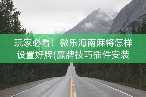 玩家必看！微乐海南麻将怎样设置好牌(赢牌技巧插件安装)