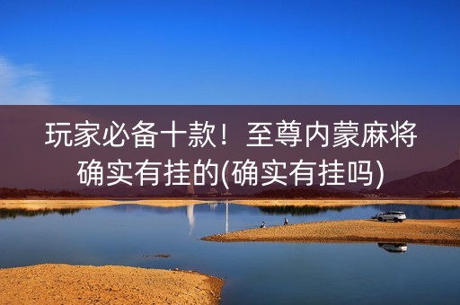玩家必备十款！至尊内蒙麻将确实有挂的(确实有挂吗)