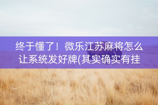 终于懂了！微乐江苏麻将怎么让系统发好牌(其实确实有挂)