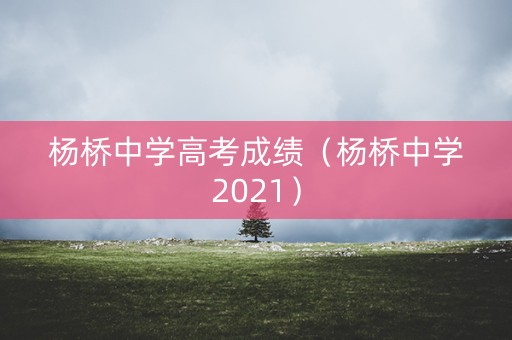 杨桥中学高考成绩（杨桥中学2021）