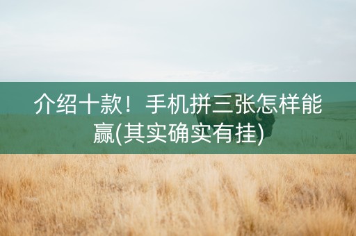 介绍十款！手机拼三张怎样能赢(其实确实有挂)