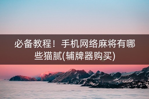 必备教程！手机网络麻将有哪些猫腻(辅牌器购买)