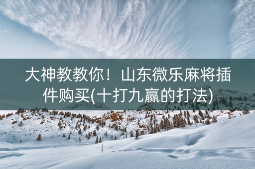 大神教教你！山东微乐麻将插件购买(十打九赢的打法)