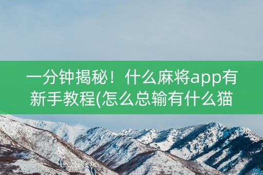 一分钟揭秘！什么麻将app有新手教程(怎么总输有什么猫腻)