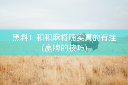 黑料！和和麻将确实真的有挂(赢牌的技巧)