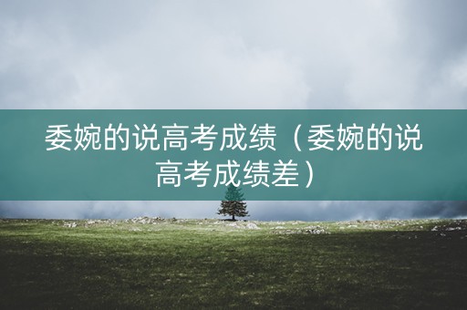 委婉的说高考成绩（委婉的说高考成绩差）