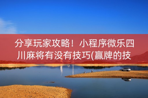 分享玩家攻略！小程序微乐四川麻将有没有技巧(赢牌的技巧)