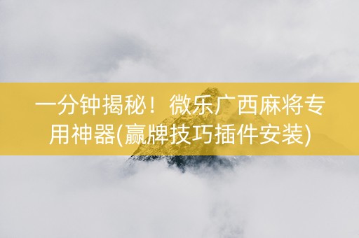 一分钟揭秘！微乐广西麻将专用神器(赢牌技巧插件安装)