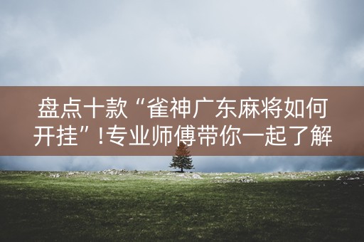 盘点十款“雀神广东麻将如何开挂”!专业师傅带你一起了解（详细教程）-抖音