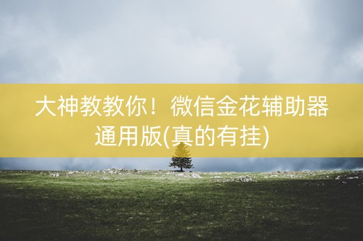 大神教教你！微信金花辅助器通用版(真的有挂)