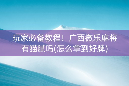 玩家必备教程！广西微乐麻将有猫腻吗(怎么拿到好牌)