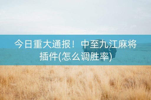 今日重大通报！中至九江麻将插件(怎么调胜率)