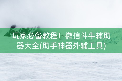 玩家必备教程！微信斗牛辅助器大全(助手神器外辅工具)