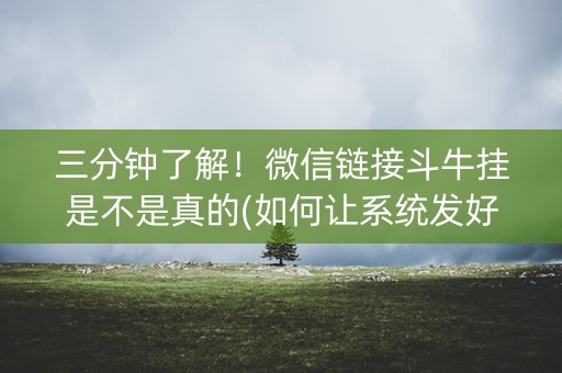 三分钟了解！微信链接斗牛挂是不是真的(如何让系统发好牌)