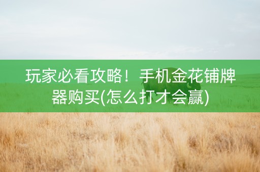 玩家必看攻略！手机金花铺牌器购买(怎么打才会赢)