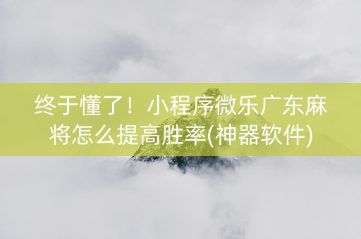 终于懂了！小程序微乐广东麻将怎么提高胜率(神器软件)