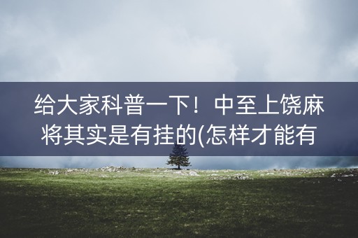 给大家科普一下！中至上饶麻将其实是有挂的(怎样才能有好牌)