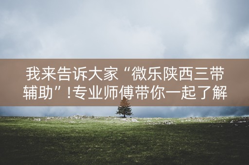我来告诉大家“微乐陕西三带辅助”!专业师傅带你一起了解（详细教程）-抖音