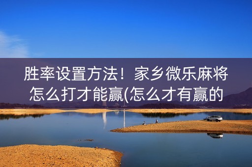 胜率设置方法！家乡微乐麻将怎么打才能赢(怎么才有赢的几率)
