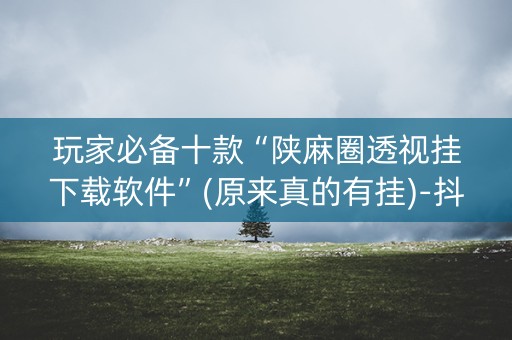 玩家必备十款“陕麻圈透视挂下载软件”(原来真的有挂)-抖音