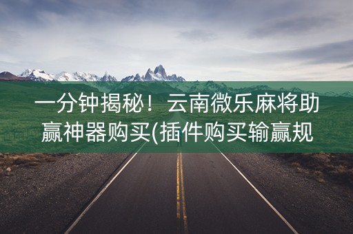 一分钟揭秘！云南微乐麻将助赢神器购买(插件购买输赢规律)