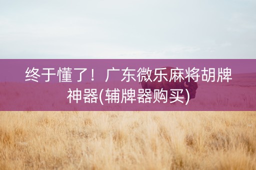 终于懂了！广东微乐麻将胡牌神器(辅牌器购买)
