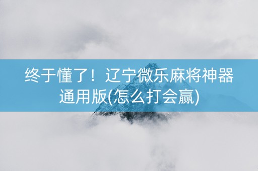 终于懂了！辽宁微乐麻将神器通用版(怎么打会赢)