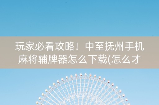 玩家必看攻略！中至抚州手机麻将辅牌器怎么下载(怎么才可以赢)
