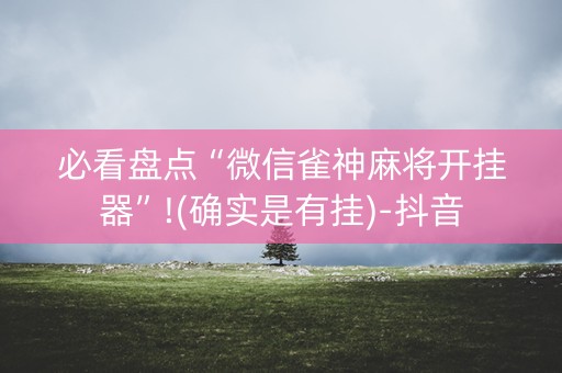 必看盘点“微信雀神麻将开挂器”!(确实是有挂)-抖音