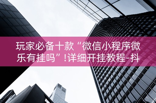玩家必备十款“微信小程序微乐有挂吗”!详细开挂教程-抖音