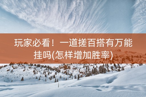 玩家必看！一道搓百搭有万能挂吗(怎样增加胜率)