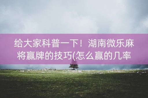 给大家科普一下！湖南微乐麻将赢牌的技巧(怎么赢的几率大)