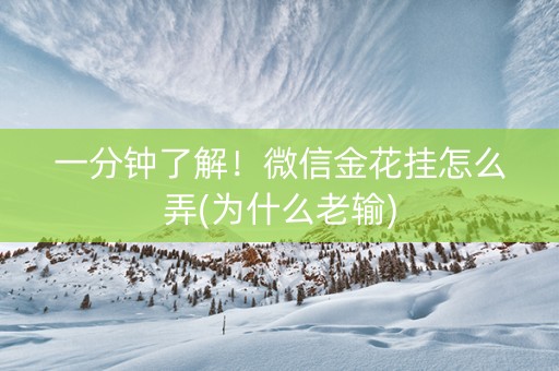 一分钟了解！微信金花挂怎么弄(为什么老输)