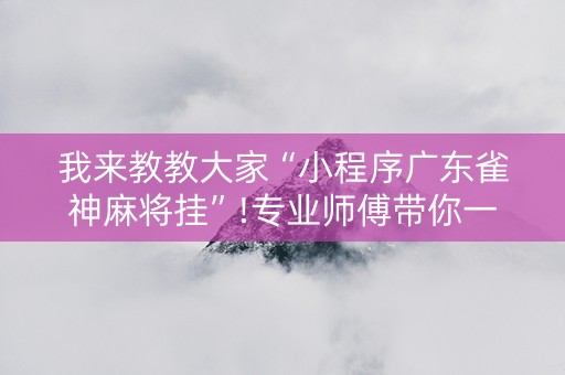 我来教教大家“小程序广东雀神麻将挂”!专业师傅带你一起了解（详细教程）-抖音