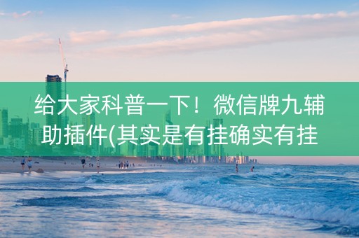给大家科普一下！微信牌九辅助插件(其实是有挂确实有挂)