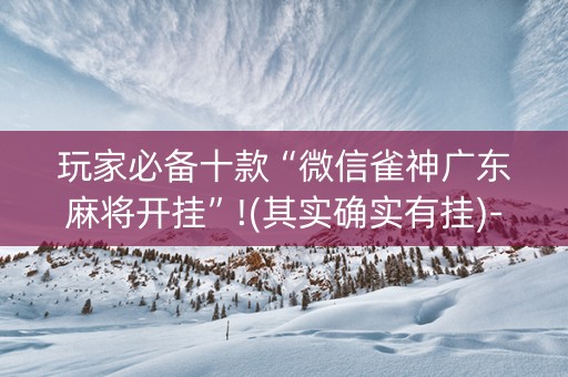 玩家必备十款“微信雀神广东麻将开挂”!(其实确实有挂)-抖音