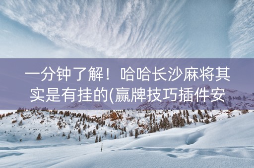 一分钟了解！哈哈长沙麻将其实是有挂的(赢牌技巧插件安装)