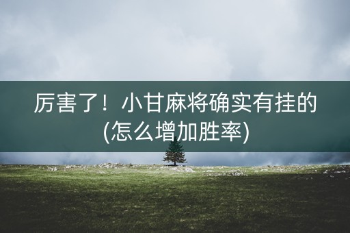 厉害了！小甘麻将确实有挂的(怎么增加胜率)