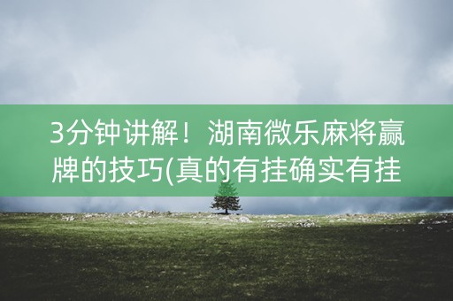 3分钟讲解！湖南微乐麻将赢牌的技巧(真的有挂确实有挂)