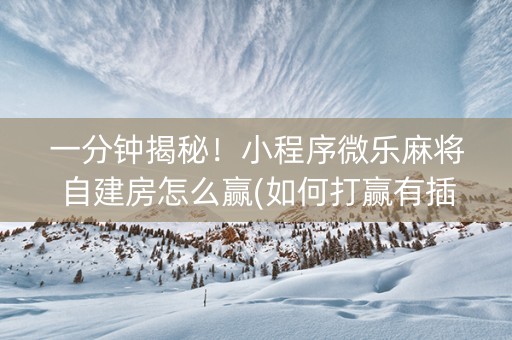 一分钟揭秘！小程序微乐麻将自建房怎么赢(如何打赢有插件吗)