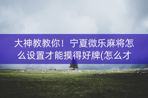 大神教教你！宁夏微乐麻将怎么设置才能摸得好牌(怎么才能赢得多)