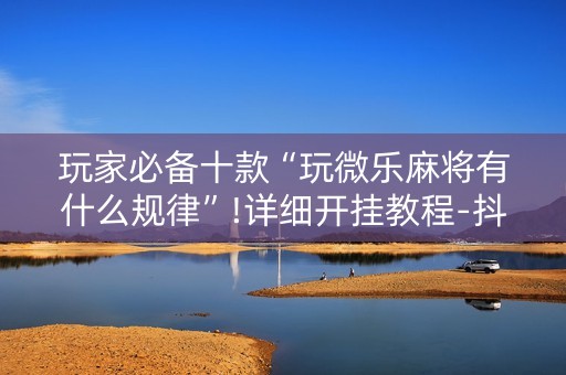 玩家必备十款“玩微乐麻将有什么规律”!详细开挂教程-抖音